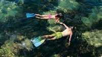 pic for Couple Swimming In Caribbean 